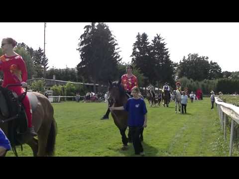 VIDEO - KONĚ V AKCI 2015 SLAVNOSTNÍ PRŮVOD