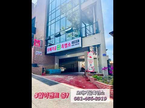 오전동흑염소 영상