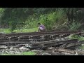 Long Way To Go For India To Achieve Open Defecation Free Tag AFP