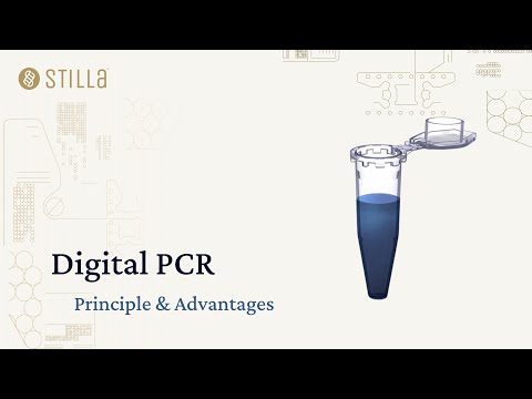 Digital PCR Principle & Advantages