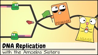 DNA Replication (Updated)