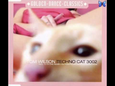 Tom Wilson - Techno Cat (CJ Stone Remix) 2003 (Artist Died: 25 March 2004 - 53 yers)