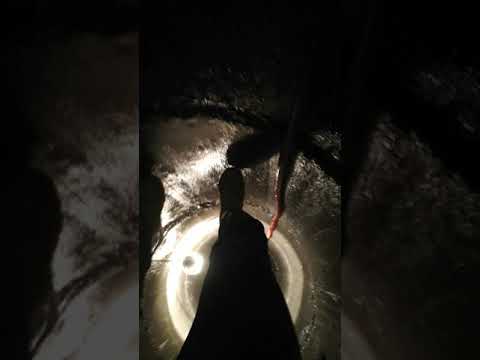 Opasnost vreba sa svih strana KRALj se vraća po sijalicu