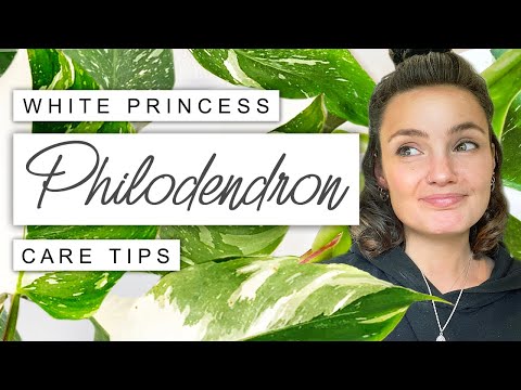 White Princess Philodendron Care TIPS + TRICKS 🌱  Philodendron White Princess Survival Guide 💚