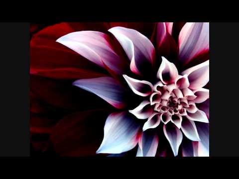 Urban Myth - Africa (Deedoubleyou Remix)