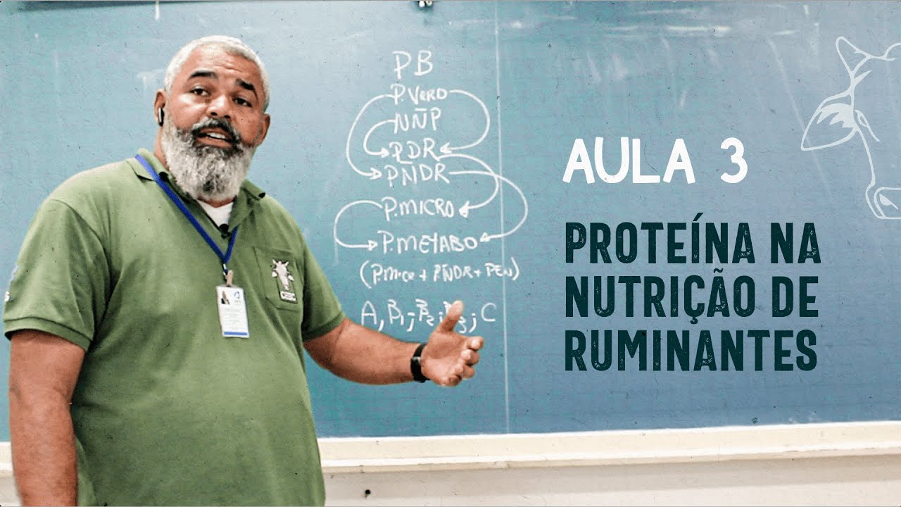 Live 003 - Proteína na nutrição de bovinos de corte