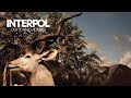 Interpol [ All Fired Up ] Sub. En Español + Información