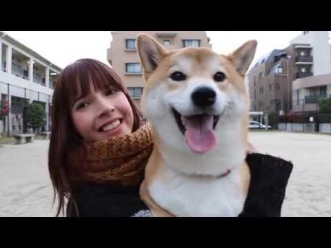 A Day in The Life EP.0 // HUAWEIと日常ブログエピソード０！