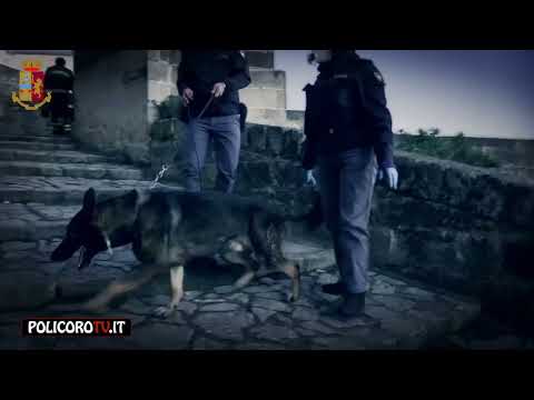 TRAFFICO E SPACCIO DI DROGA  OPERAZIONE DELLA POLIZIA TRA PUGLIA E BASILICATA  EMESSE 22 MISURE CAUT