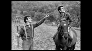 LOS BURROS - Rosa de los vientos - Cover.