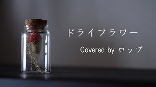 (4)(00:03:53 - 00:04:50) - ドライフラワー Covered by ロップ