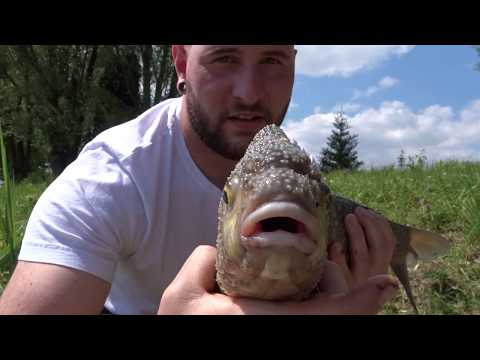 Feederangeln am See // Brassen // Laichzeit // mhfishing
