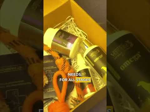 3 Dog Supplements That Changed Her Dog’s Coat & Immunity!