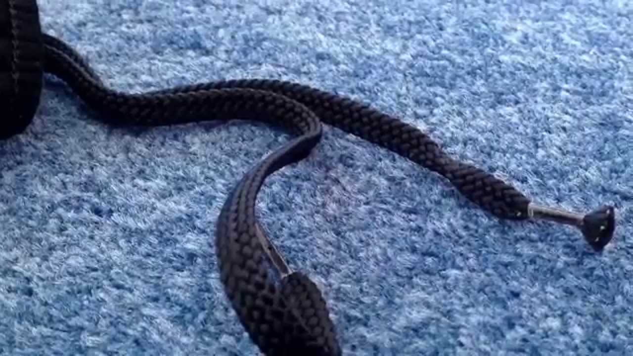 Sports clothing performance review