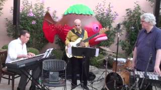 Hendrik Meurkens Quartet