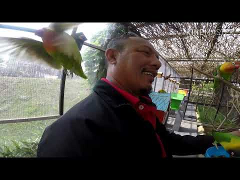 Bandung - Scooter Touring