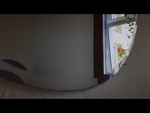 Clara Clasen - "tuesday" | Official Lyric Video