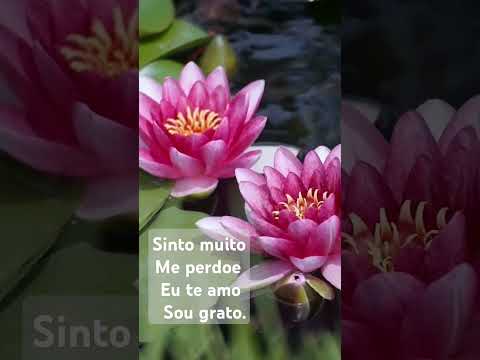 Me Perdoe, Sinto Muito, Sou Grato, Eu Te Amo! - Hoponopono