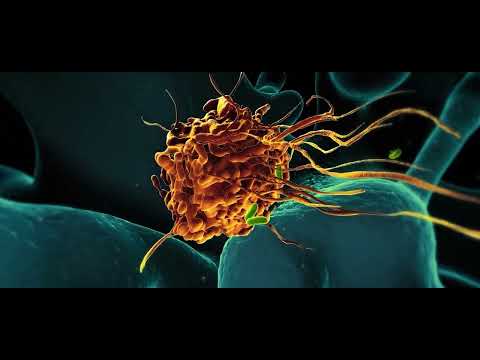 PantumDetect Funktionsweise