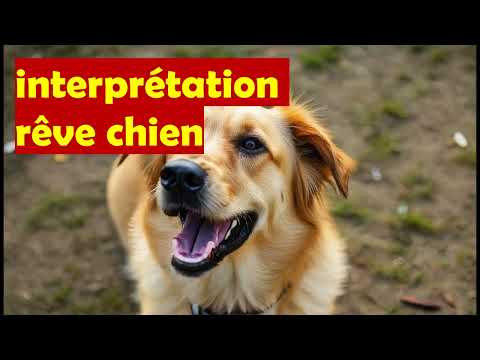 rêver de chien,signification,interprétation,noir,blanc,qui aboie,agressif,mort,voir dans un rêve