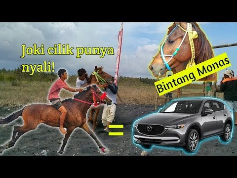Balapan kuda di Lombok|Arong-arong jaran pantai pondok kerakat|Event Budaya