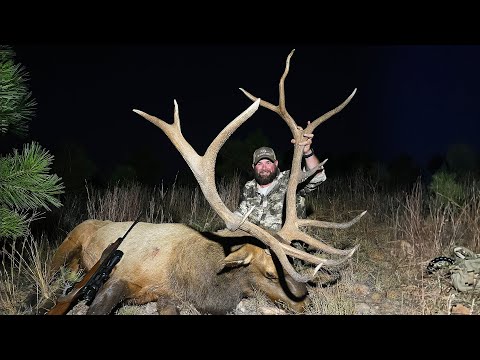 GIANT ARIZONA ELK! - (Hunting BUGLING Bulls)