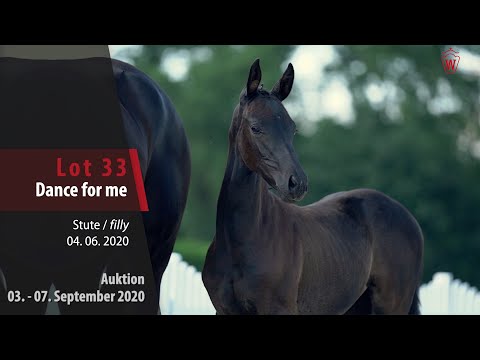 Online-Auktion v. 03. - 07.09.2020 Lot 33 Dance for me Stute v. DeLorean - Don Juan de Hus