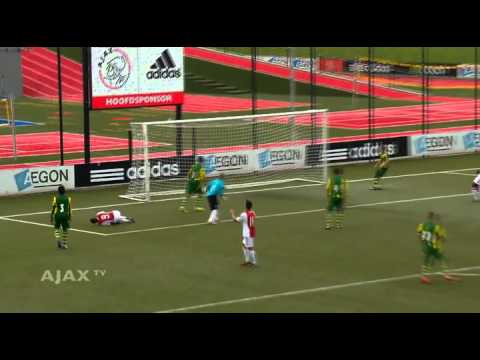 Aegon Toekomst Journaal: A2 en C1