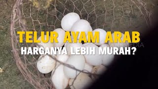 Download lagu [FULL] | SI UNYIL (16/11/21) mp3