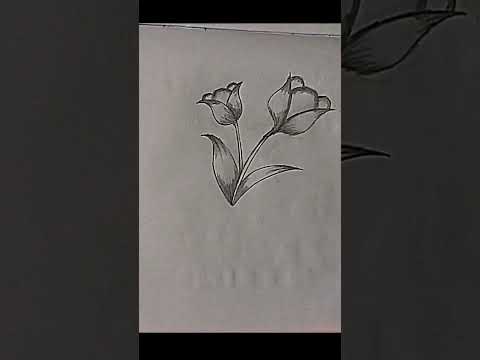 Another flower drawing. #flowers #art