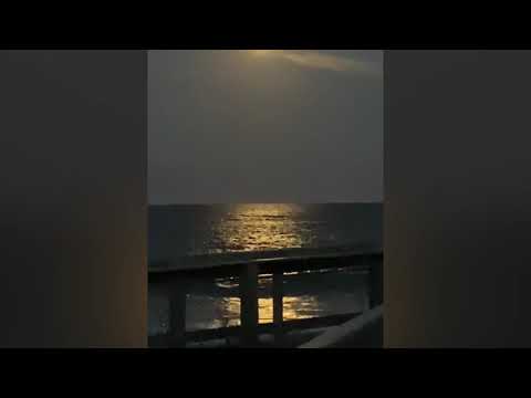 Beach Sheba and mom!!!