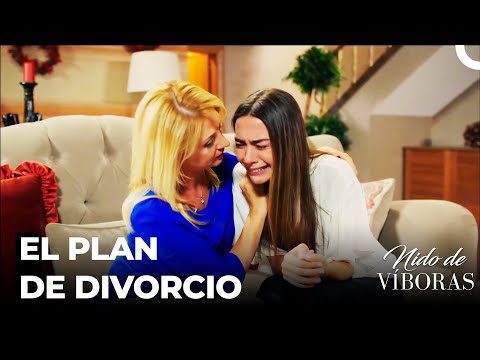 Elvan Se Divorcia  - Nido De Víboras Capitulo 4 (Dobladas en Español)