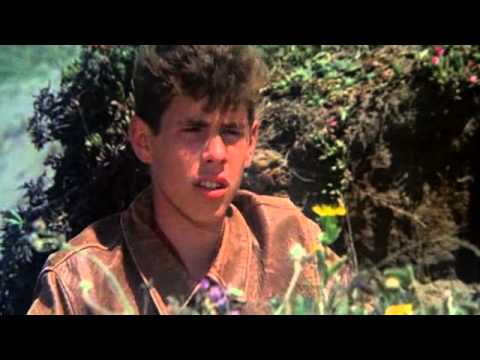 summer of 42 opening wheniwasfifteen FC 177a 24f1