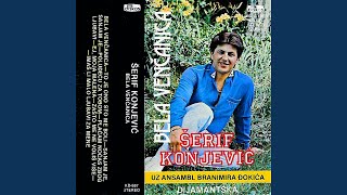 Zasto me ne volis vise