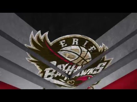 Game Highlights: Erie BayHawks @ Raptors 905 - March 19 , 2016