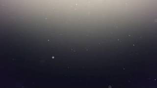 Love Has Found Us - Gateway Worship (Lyric Video)