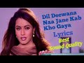 Dil Deewana Naa Jane Kab Kho Haya Full Lyrics Song Daag The Fire Kumar Sanu Anuradha Paudwal