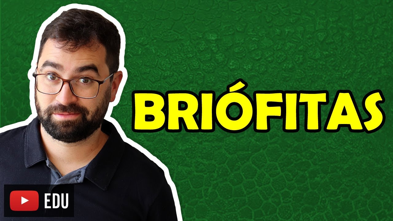 Briófitas - Aula 02 - Módulo V: Botânica | Prof. Guilherme