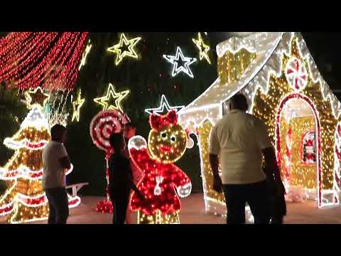 🎄 ¡Así se Vive la Navidad en Arjona, Bolívar! | Luces, Alegría y Familia 🎁