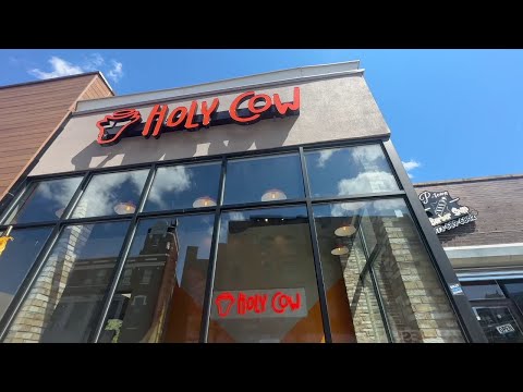 NJ Paterson Holy Cow Restaurant’s Grand Opening