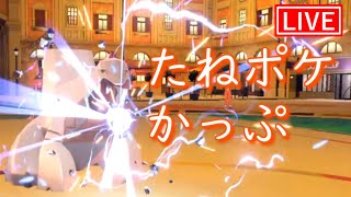 【ポケモンSV】未進化限定仲間大会『たねポケかっぷ』参戦！【LIVE】