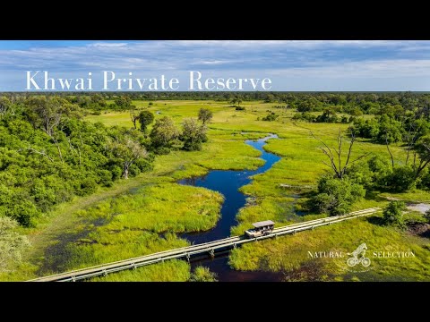 Khwai Private Reserve | Okavango Delta | Botswana