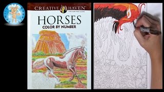 Creative Haven Horses Adult Coloring Book Color By Number