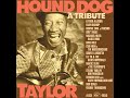 George Thorogood - I just can't make it (de Hound Dog Taylor)