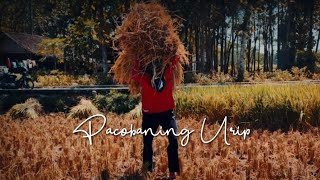 Download lagu PACOBANING URIP - Cipt NDARU BRENG || SIHO cover mp3 Download lagu PACOBANING URIP - Cipt NDARU BRENG || SIHO cover mp3