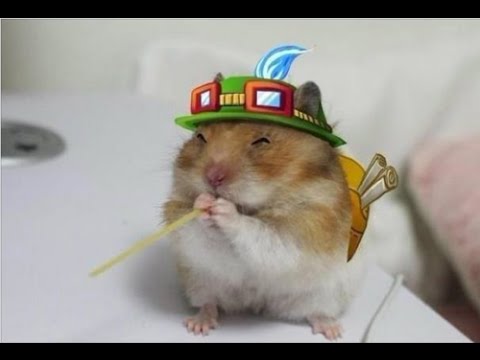 Urf Teemo OP w/ Close to Death Penta