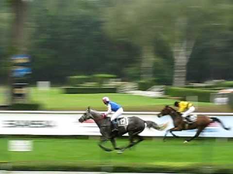 Pardubice 22.8.2009 - 2.dostih