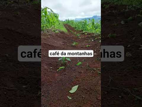 espírito santo Irupi