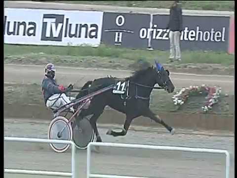 Trotto 01/12/2017 - 1ª corsa