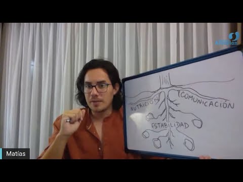 Day 347 ROOTS - Matias De Stefano - English Edit